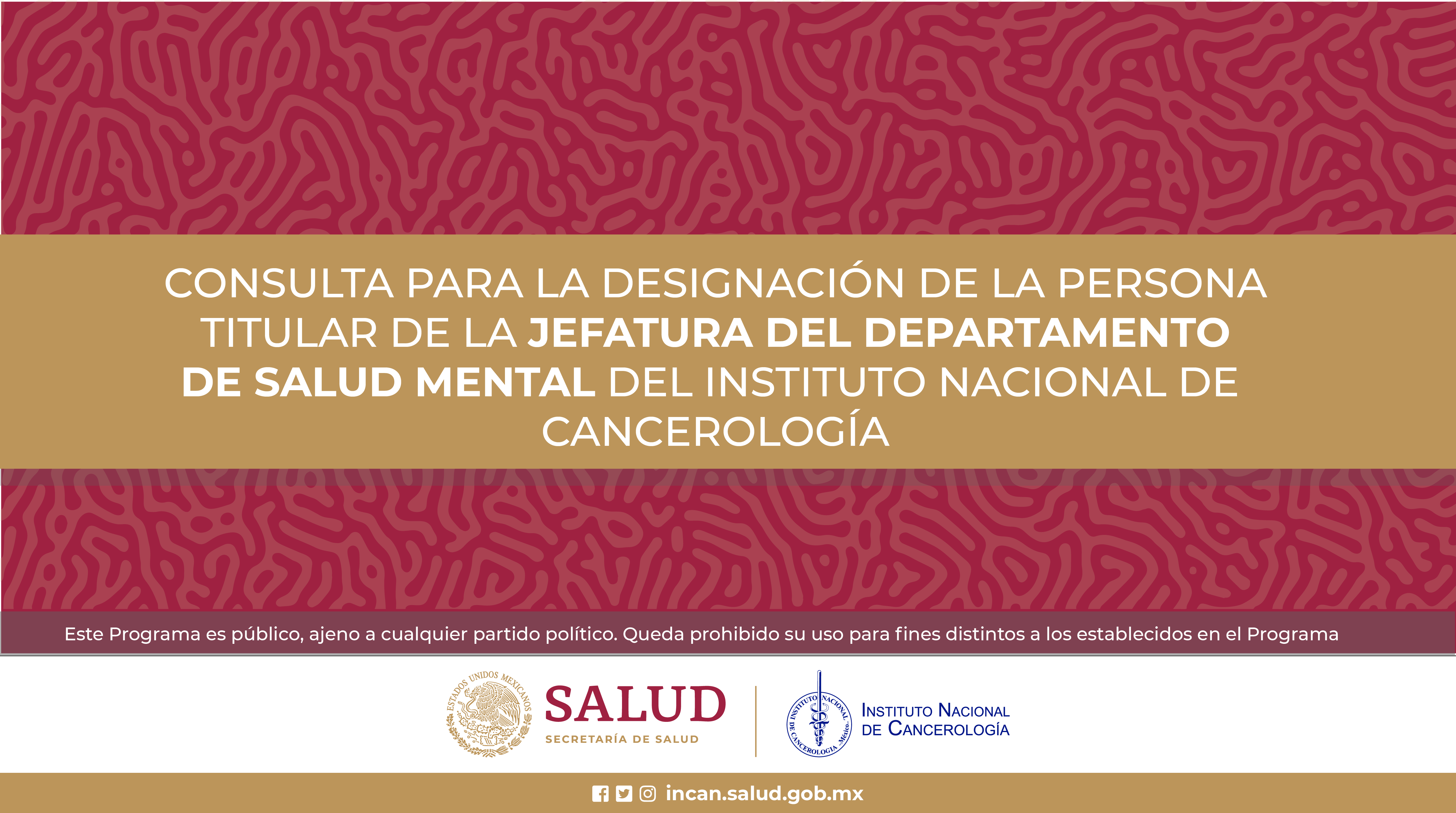 CONSULTA PARA LA DESIGNACIÓN DE LA PERSONA TITULAR DE LA JEFATURA DEL DEPARTAMENTO DE SALUD MENTAL DEL INSTITUTO NACIONAL DE CANCEROLOGIA